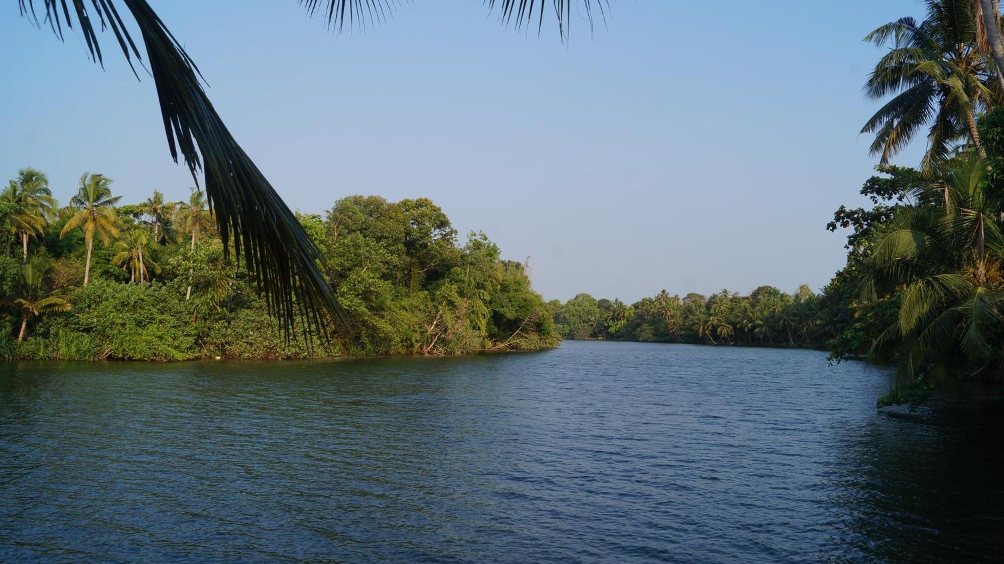 Blue Lake Villa Kollam Kültér fotó