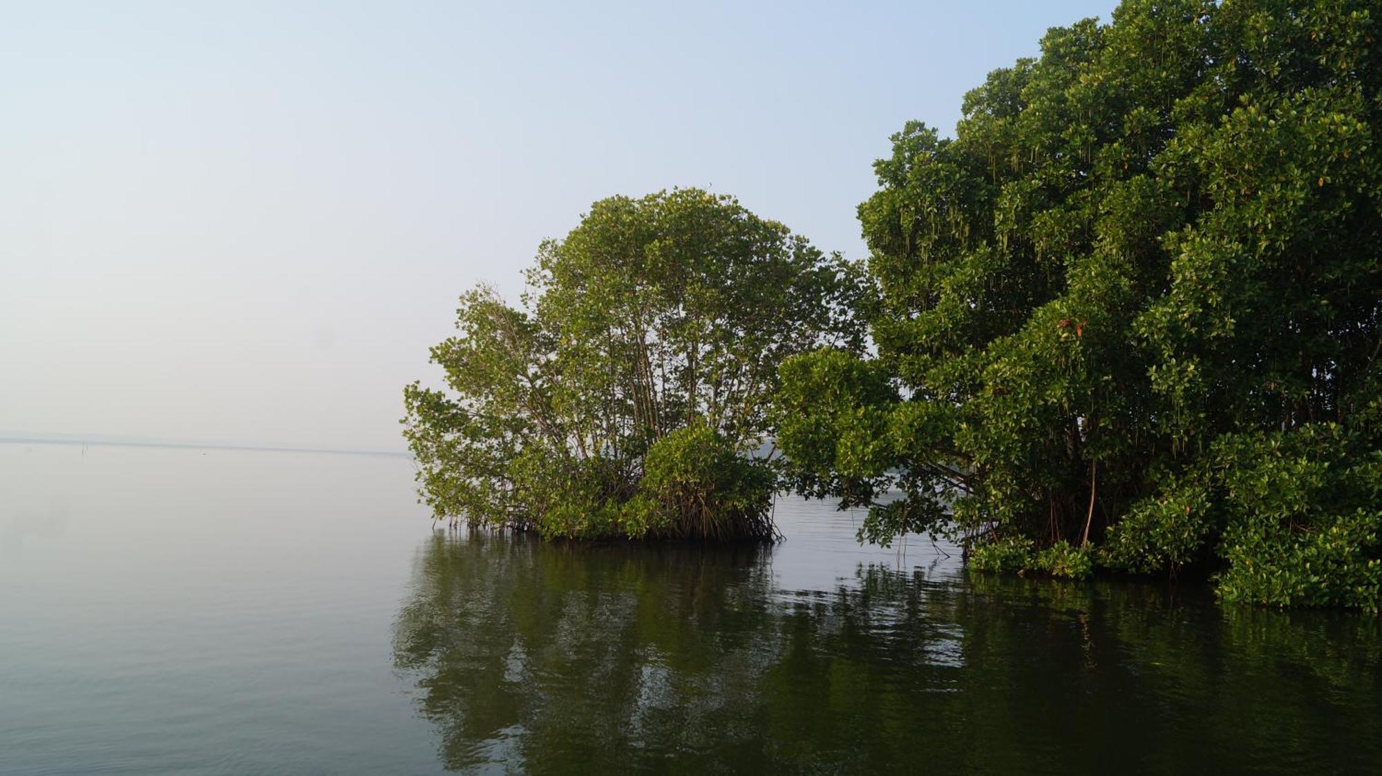 Blue Lake Villa Kollam Kültér fotó